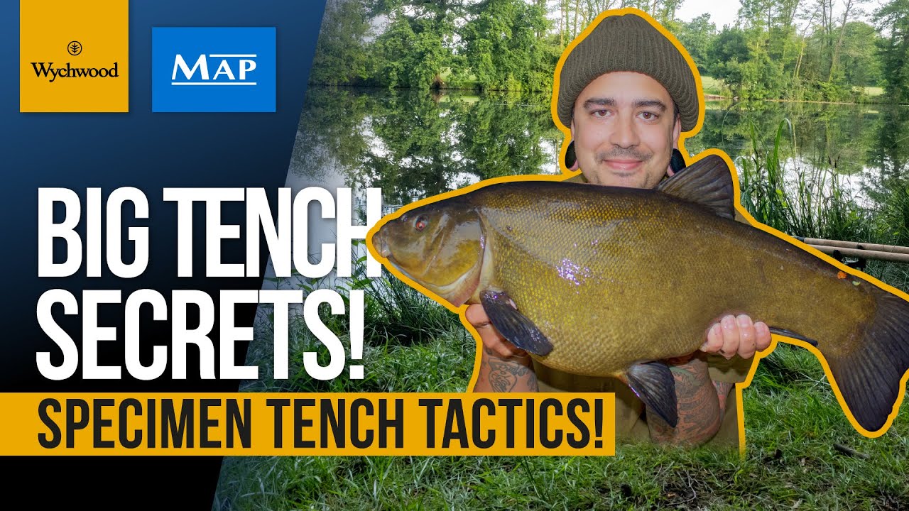 Specimen Tench Fishing | Matt Fernandez | Feeder Fishing