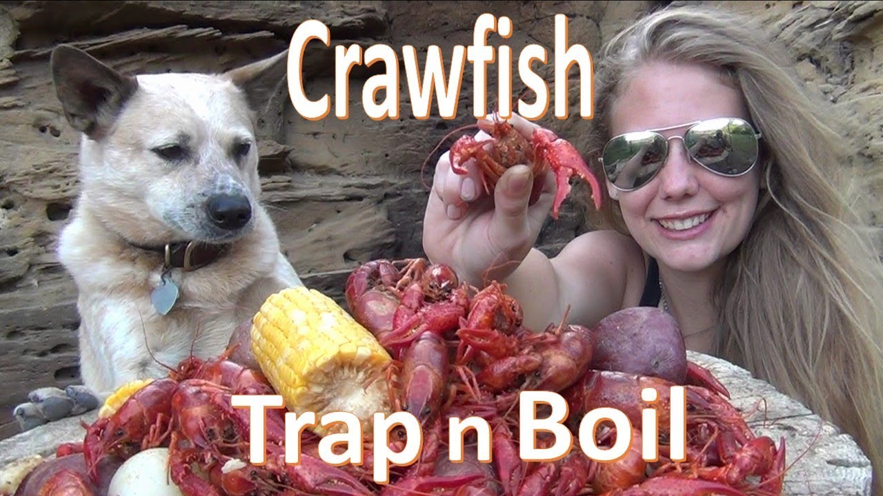 Отлов и варка раков - Catch n Cook - Trap CRAWDADS