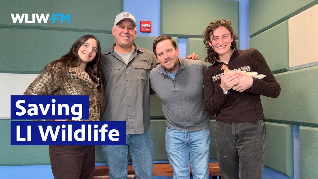 Meet the Experts Protecting Long Island’s Wildlife | THIRTEEN