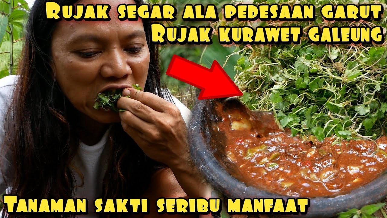 RUJAK ANTANAN LIAR RUJAK JADUL YANG SUSAH DI TEMUKAN JAMAN SEKARANG