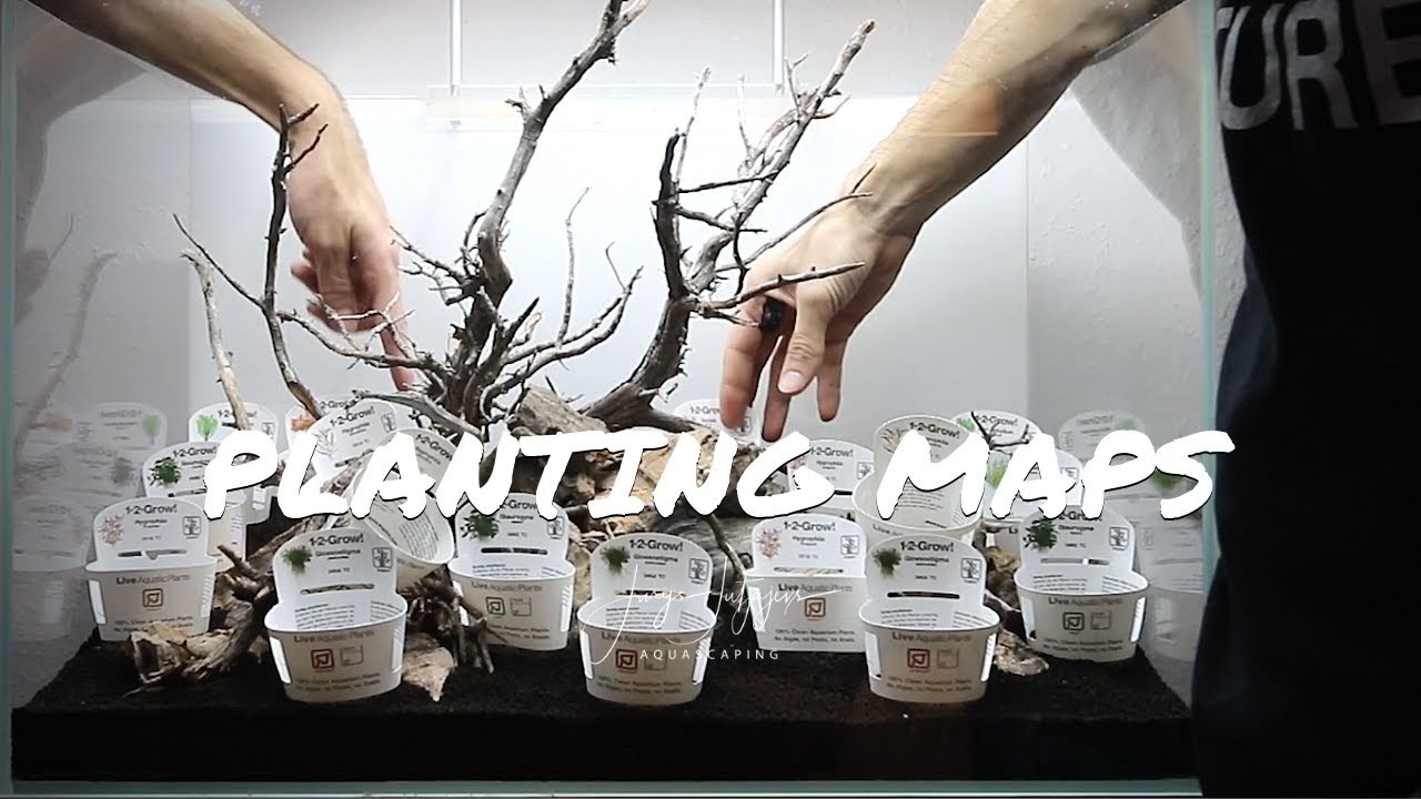 How planting maps will improve your aquascaping skills - step by step planting tutorial