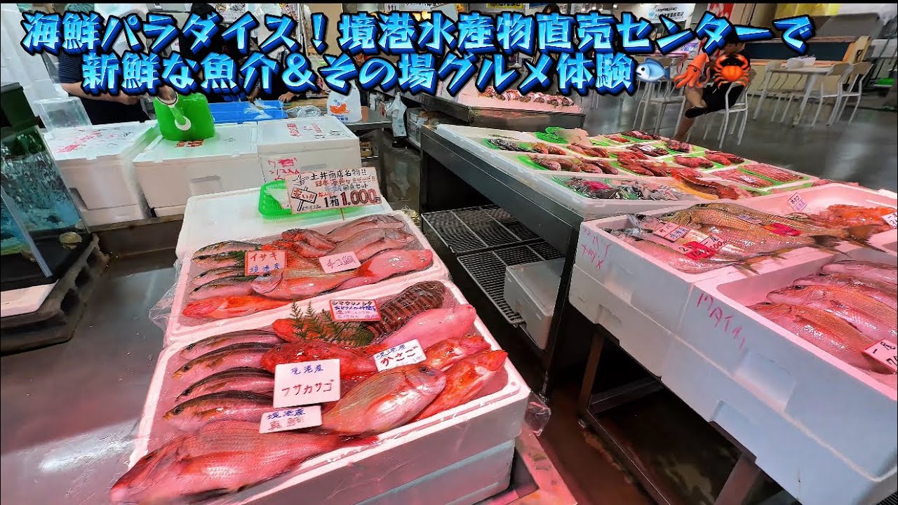 【鳥取グルメ旅】海鮮パラダイス！境港水産物直売センターで新鮮な魚介＆その場グルメ体験🐟🦑🦀
