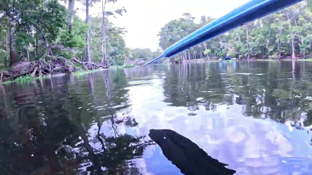 Barefoot Florida by Stef #floridasprings #kayaking #natureexperience