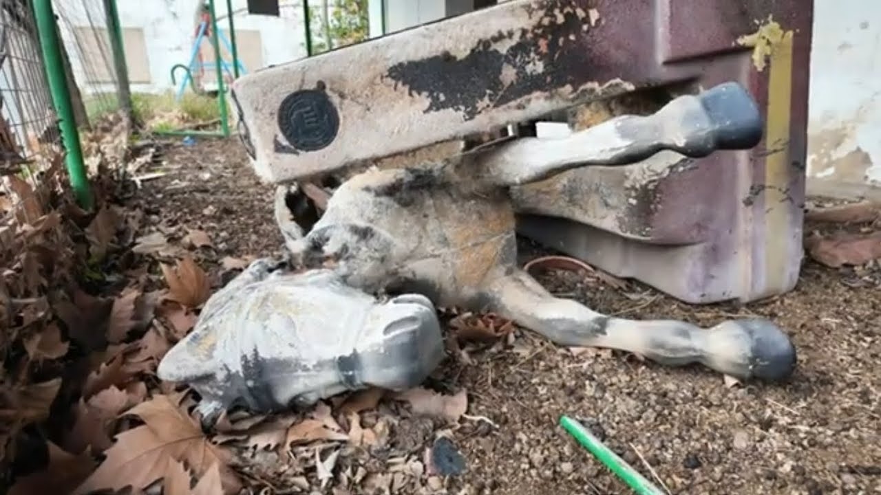 EL INFIERNO EN ESPAÑA las autoridades dejaron morir a cientos de animales Animales #Denuncia #story 