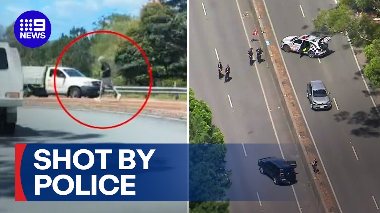 Allegedly armed man shot by police on Sunshine Coast highway | 9 News Australia