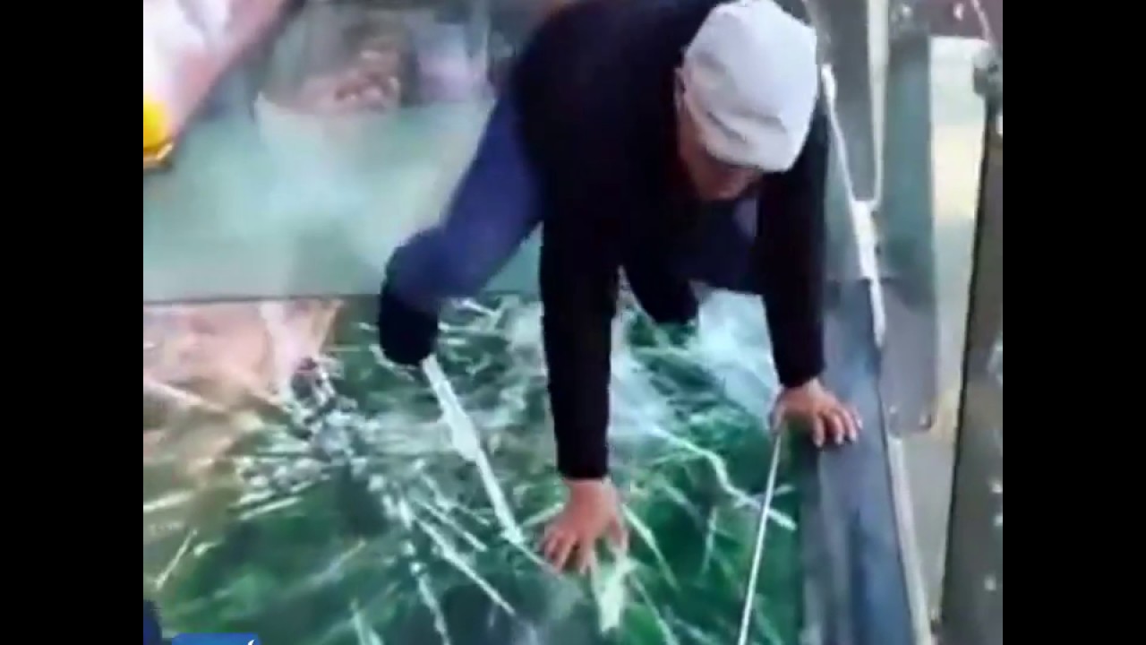 Terrified tour guide freaks out after glass walkway 