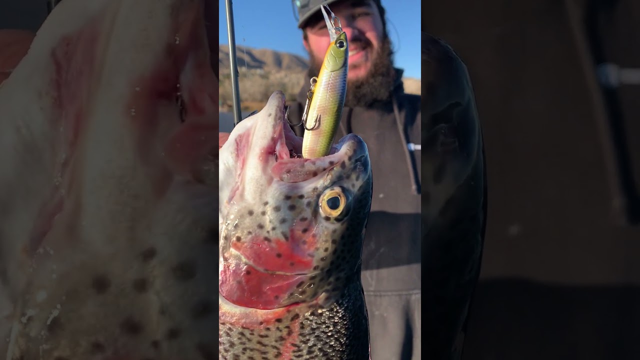 Why Big Trout Smash Jerkbaits Like This 🎯 (Lucky Craft Slender Pointer)