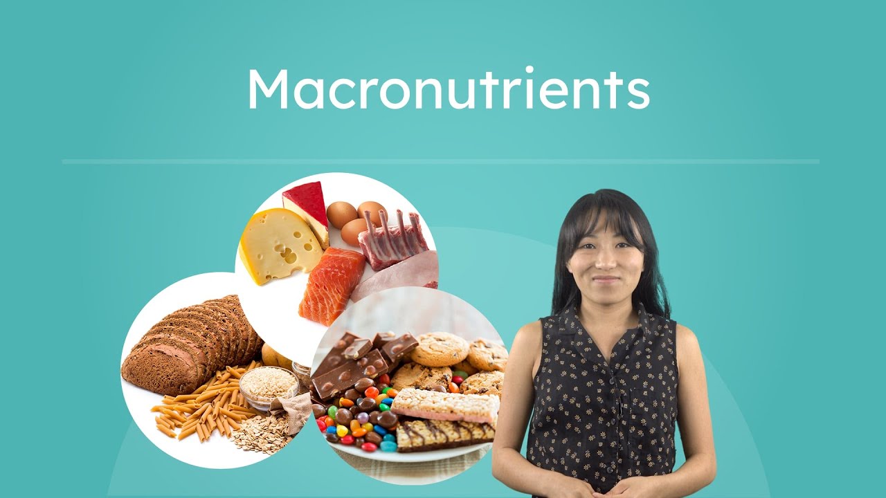 Macronutrients - Carbs, Protein, and Fat Explained