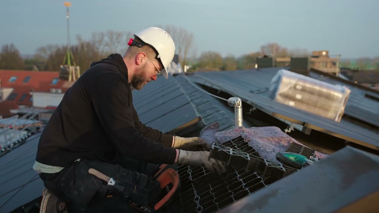 Duurzame groendaken op het fundament in Genderen - Dakrandgroen en Nieuwenhuizen Daktechniek BV