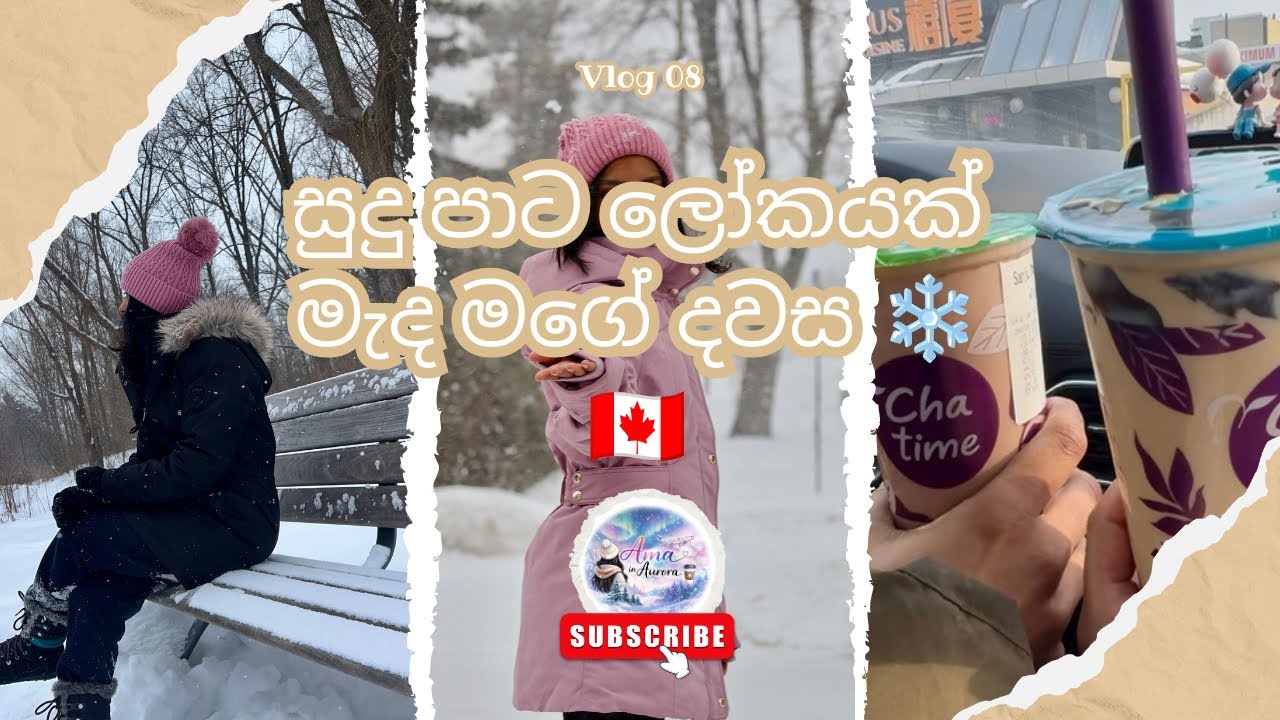 The last month of Winter❄️ - කැනඩාවේ ශීත ඍතුව කොච්චර සීතල උනත්, ඒකේ ලස්සනත් වෙනමමයි 🇨🇦 