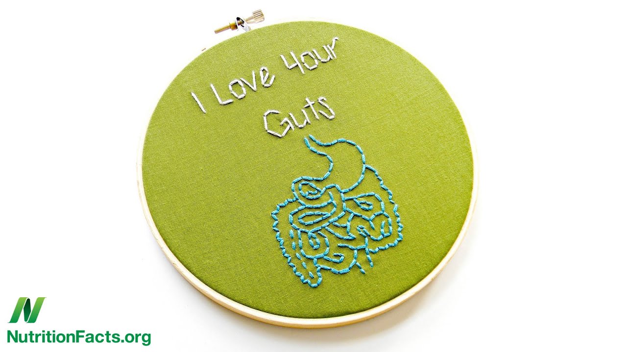 Gut Dysbiosis: Starving Our Microbial Self
