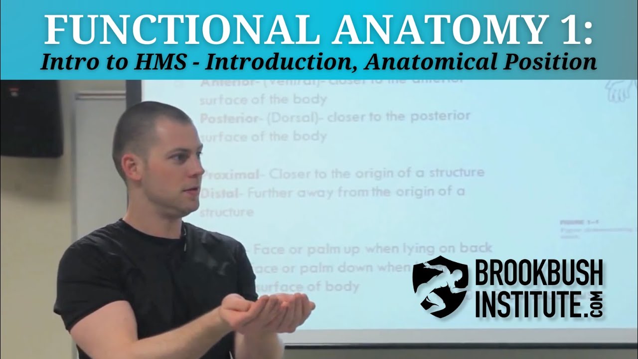 Functional Anatomy 1: Introduction to Anatomical Positions