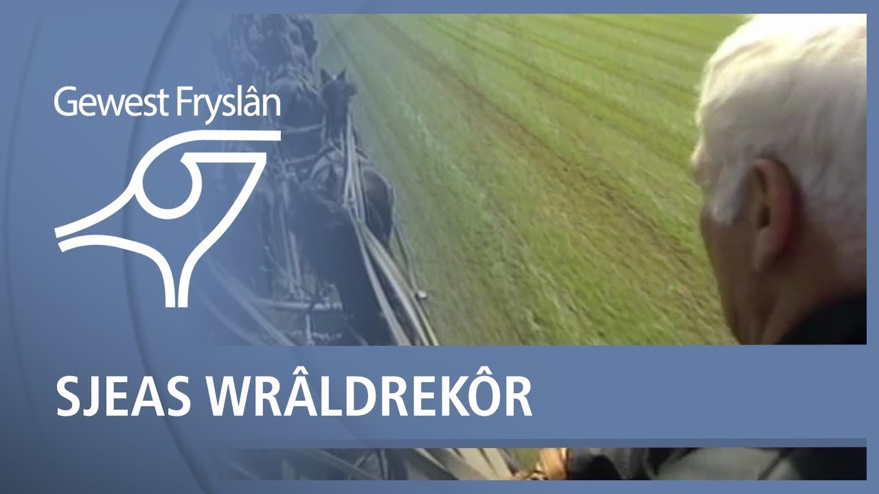 GEWEST FRYSLAN: Sjeas wrâldrekôr