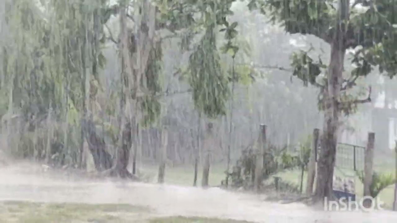 অঝোর ধারায় বৃষ্টি মন ছুঁয়ে গেলো ❤️❤️