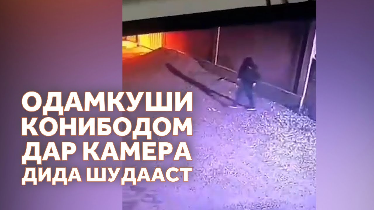 Сияҳпӯшон дар хонаҳои мардуми ваҳшатзадаи Конибодом чӣ меҷӯянд?