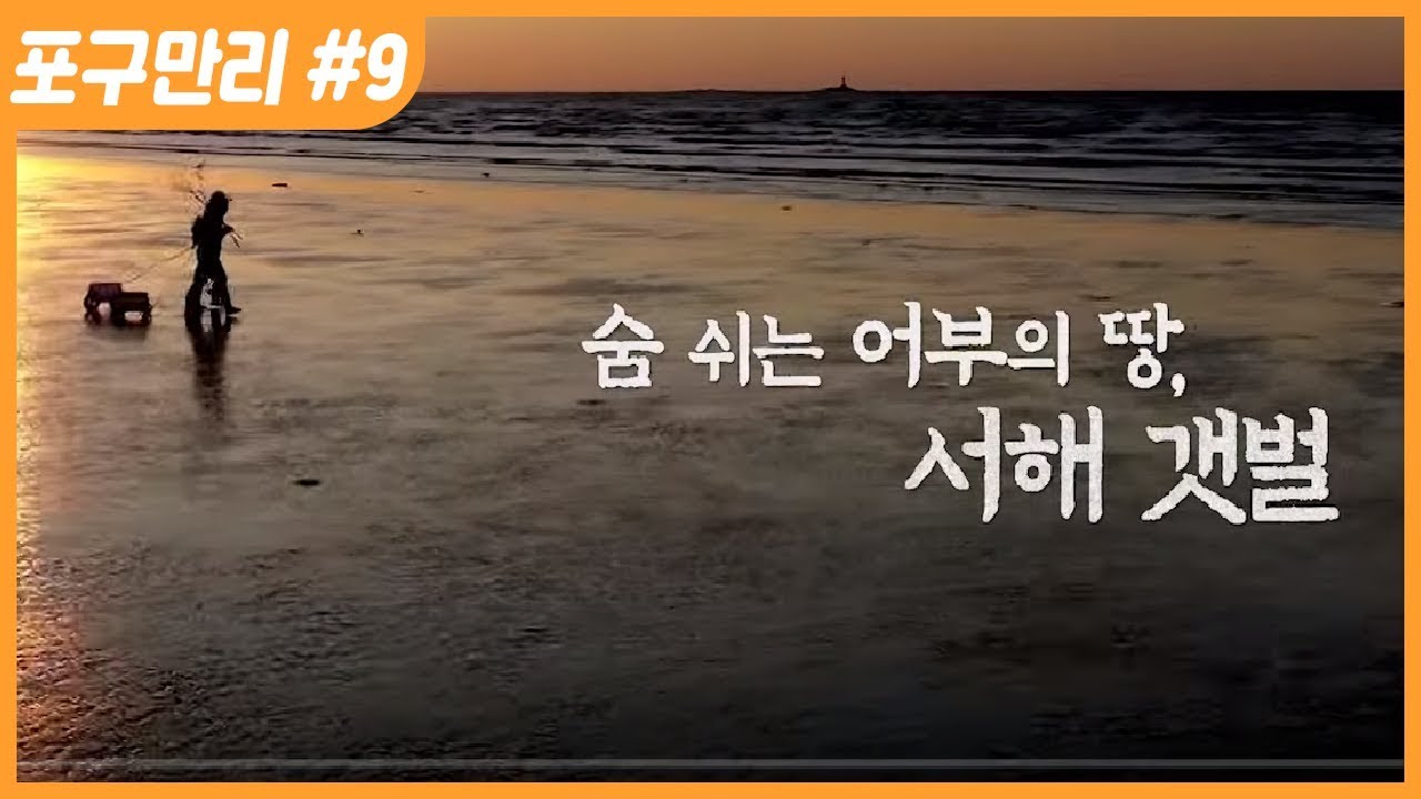 [명품다큐멘터리] 포구만리 9부 숨쉬는 어부의 땅, 서해 갯벌
