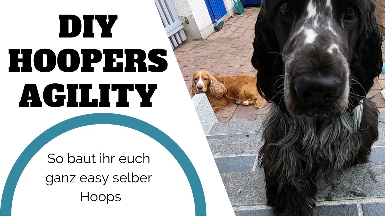 DIY: Hoopers Agility - Hoops selber bauen