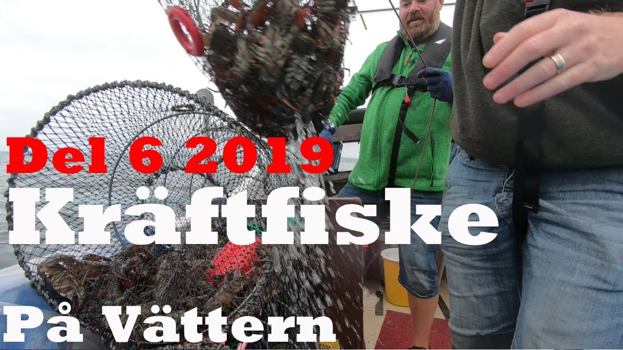 KAN TREDJE HELGEN LEVERERA KRÄFTOR IGEN? - Kräftfiske 2019 del 6