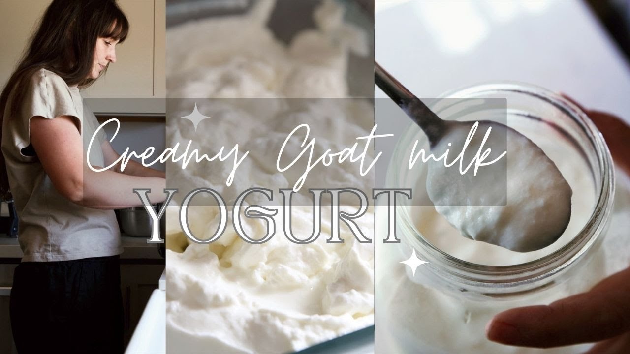 Creamy Goat Milk Yogurt Tutorial