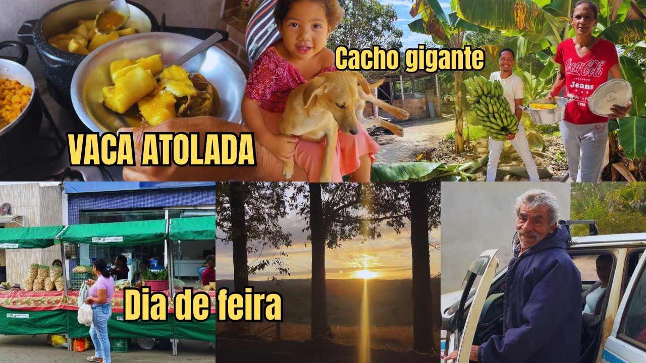 Almoço de domingo, costela com mandioca + dia de feira saímos cedinho 