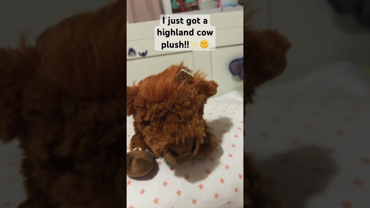 I got an adorable highland cow plushie!💛#cow #highlandcow #cute #plushies #plush #animals
