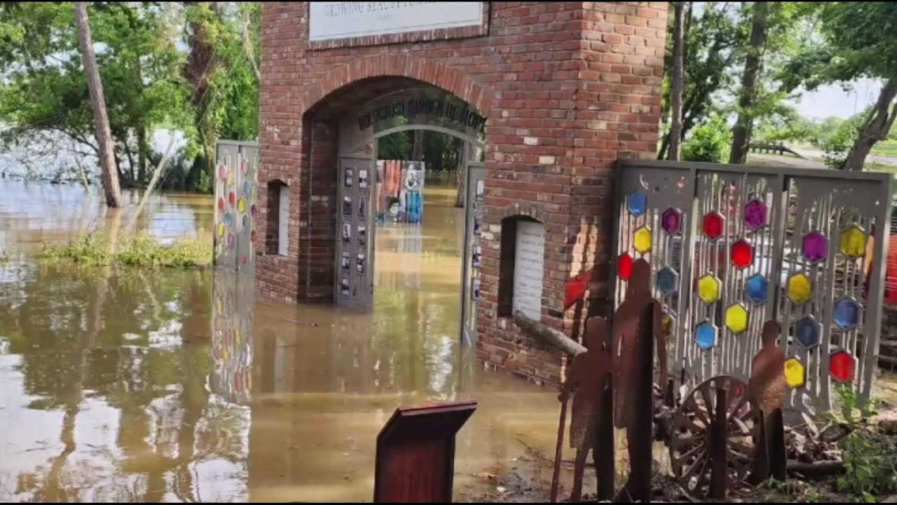 Flood cleanup in Kingwood at Holocaust Museum on Holocaust Remembrance Day