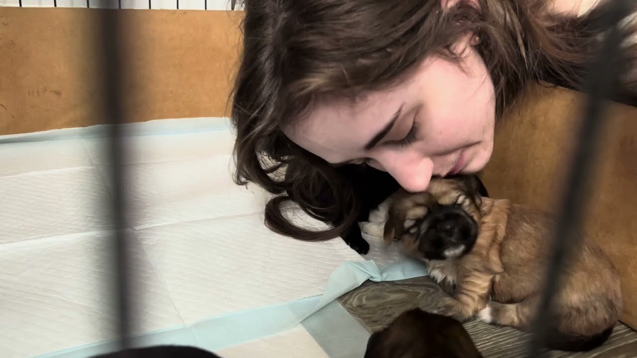Charlotte Bonding with the Puppies