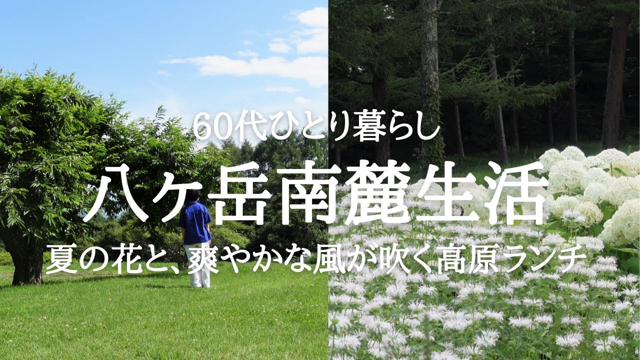 【八ヶ岳南麓60代一人暮らし】#72 青い空と緑の牧場ランチ「日野水ファームハウス」 /清里「クレアたちの森」/夏の花「丘の公園」/お茶の時間「陰キャラの女子中学生は私」/移住暮らし/田舎暮らし