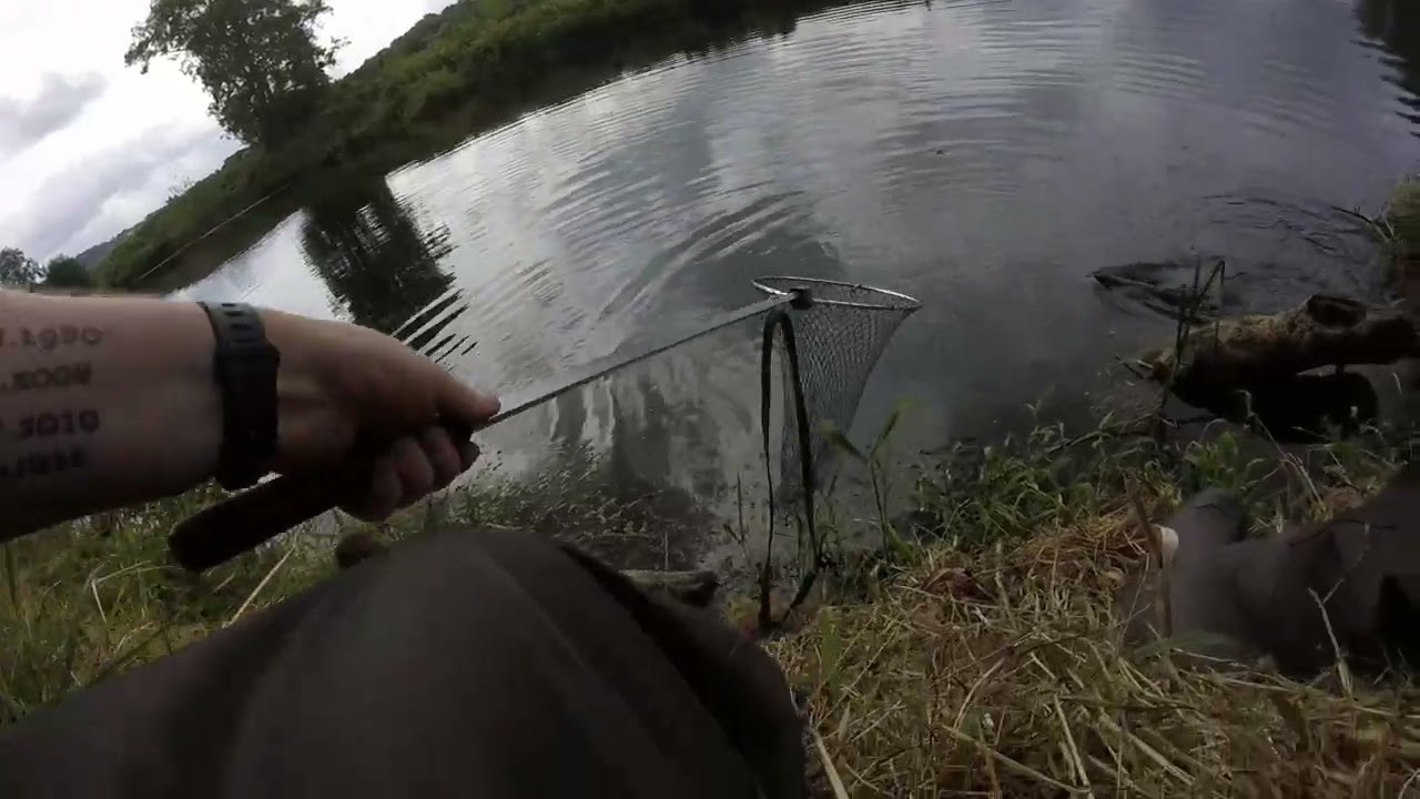 Irish Atlantic salmon angling on the free lined prawn 