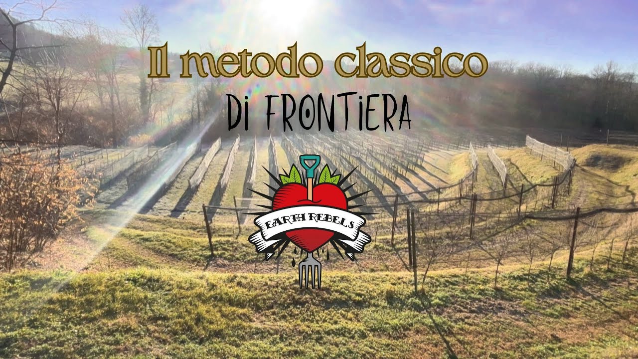 Viggiù: qui si fa Metodo Classico (e Veronelli 2026 lo conferma)