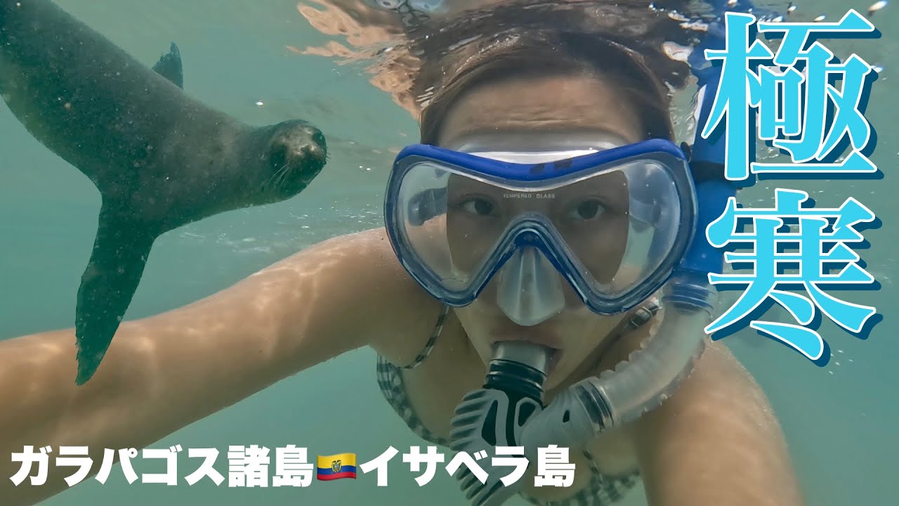ガラパゴス寒過ぎてYouTuber魂芽生えたんだけど【イサベラ島•ガラパゴス諸島•エクアドル】 #75