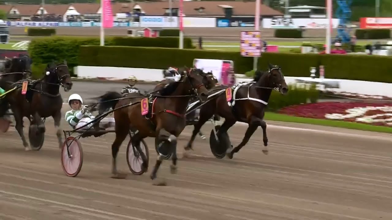 Elitloppet 2022 Elimination heat #2 - Mister F.Daag