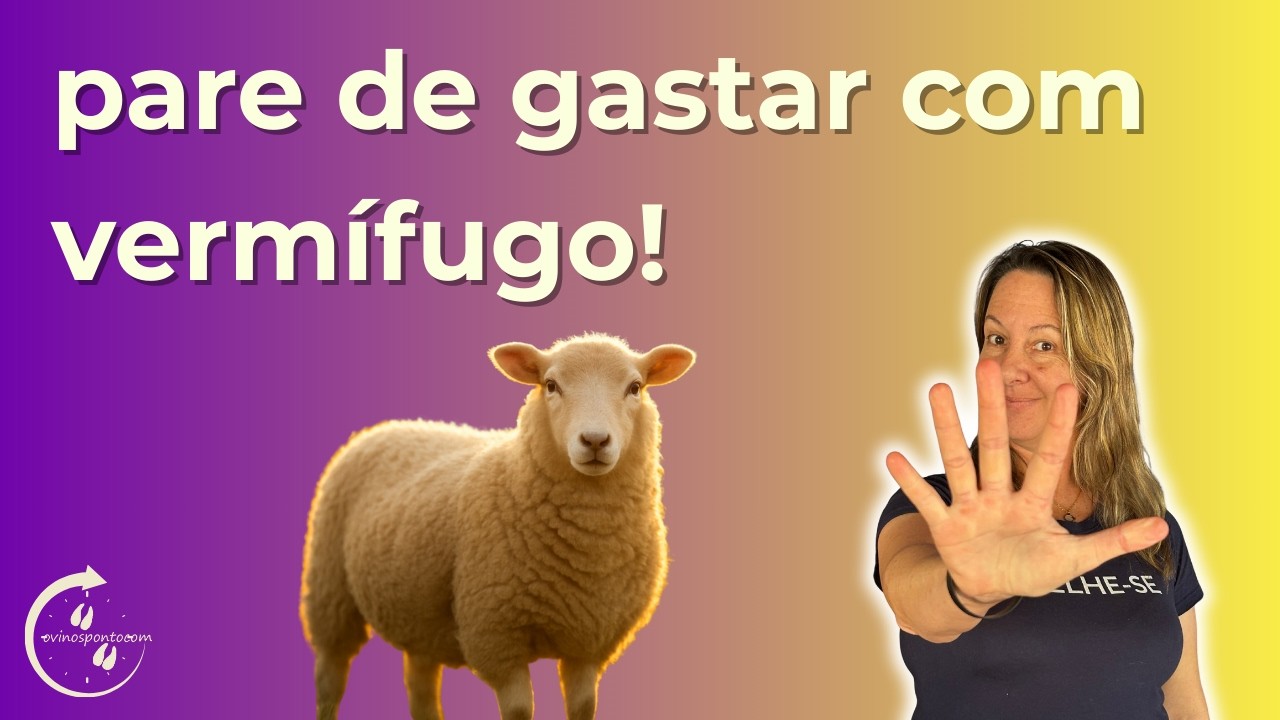 Como tratar verminose em ovelhas: O guia que funciona.