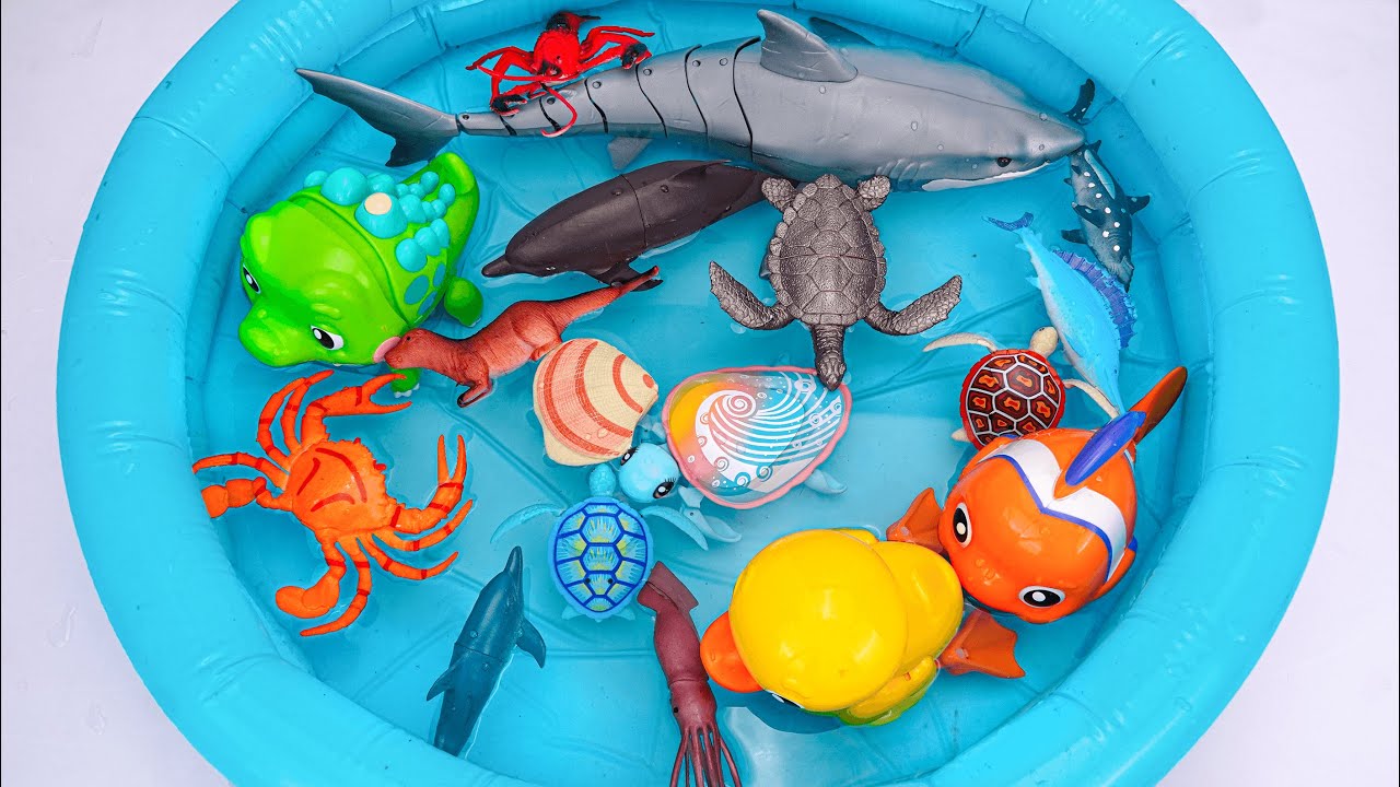 [🦈toy asmr 🦈] Zuru Robo Alive Shark & Robo Turtle & Sea Animal Toys Water ASMR | Satisfying Unboxing