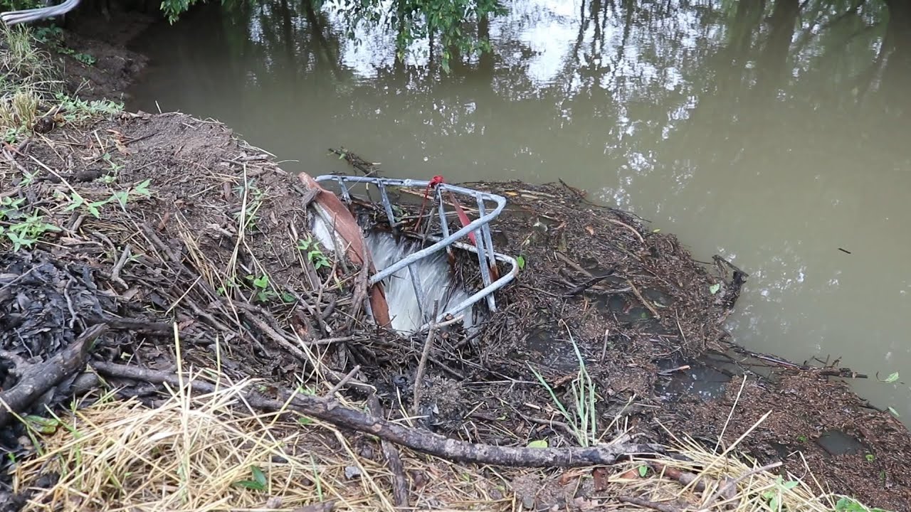 Beaver Dam Removal Culvert Unclogging