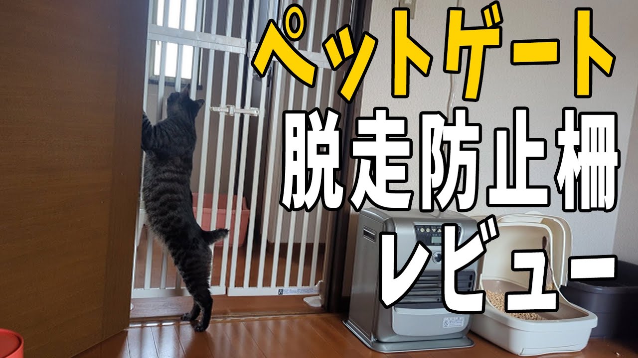 【レビュー】猫脱走防止ゲートは使えるのか【にゃんゲート】