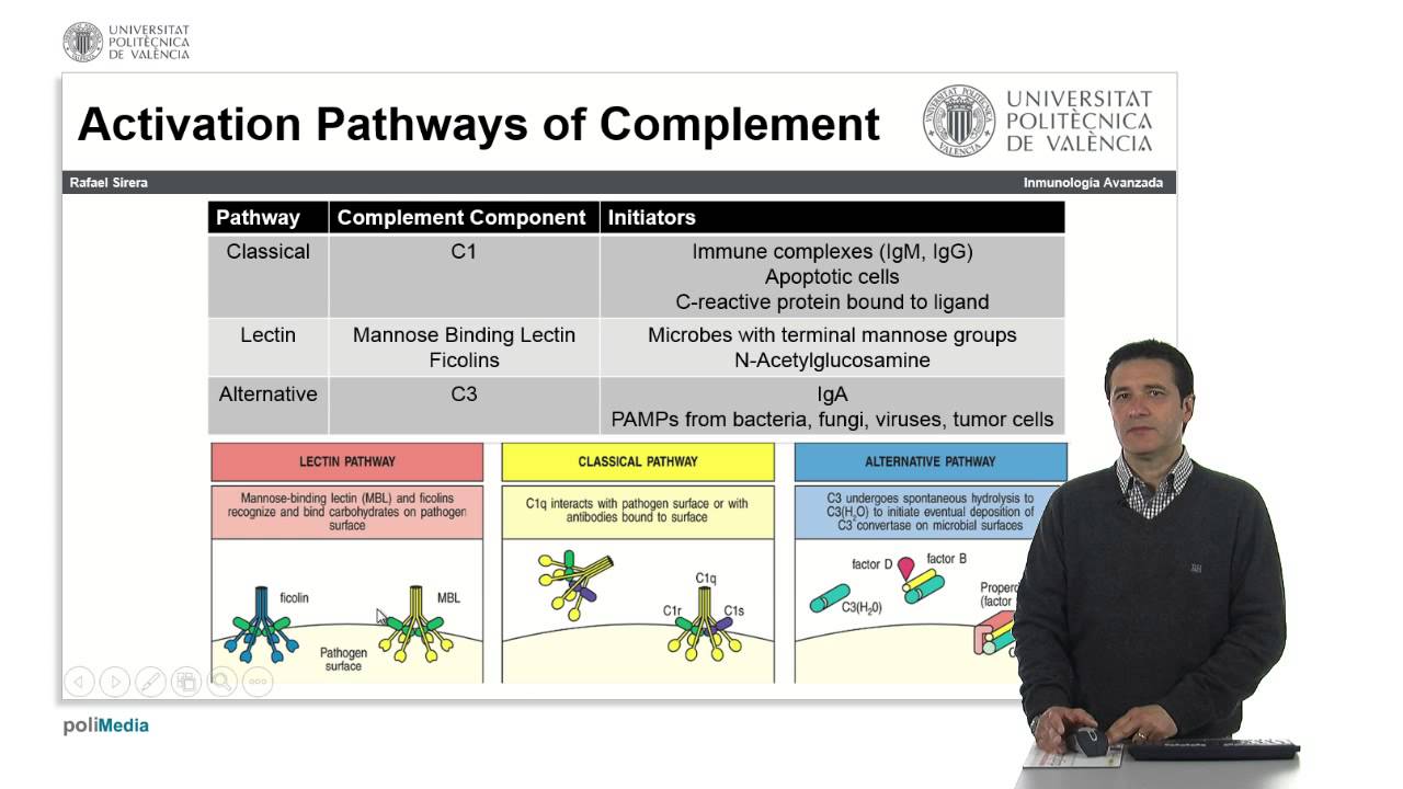 Generalidades del sistema del complemento |  | UPV
