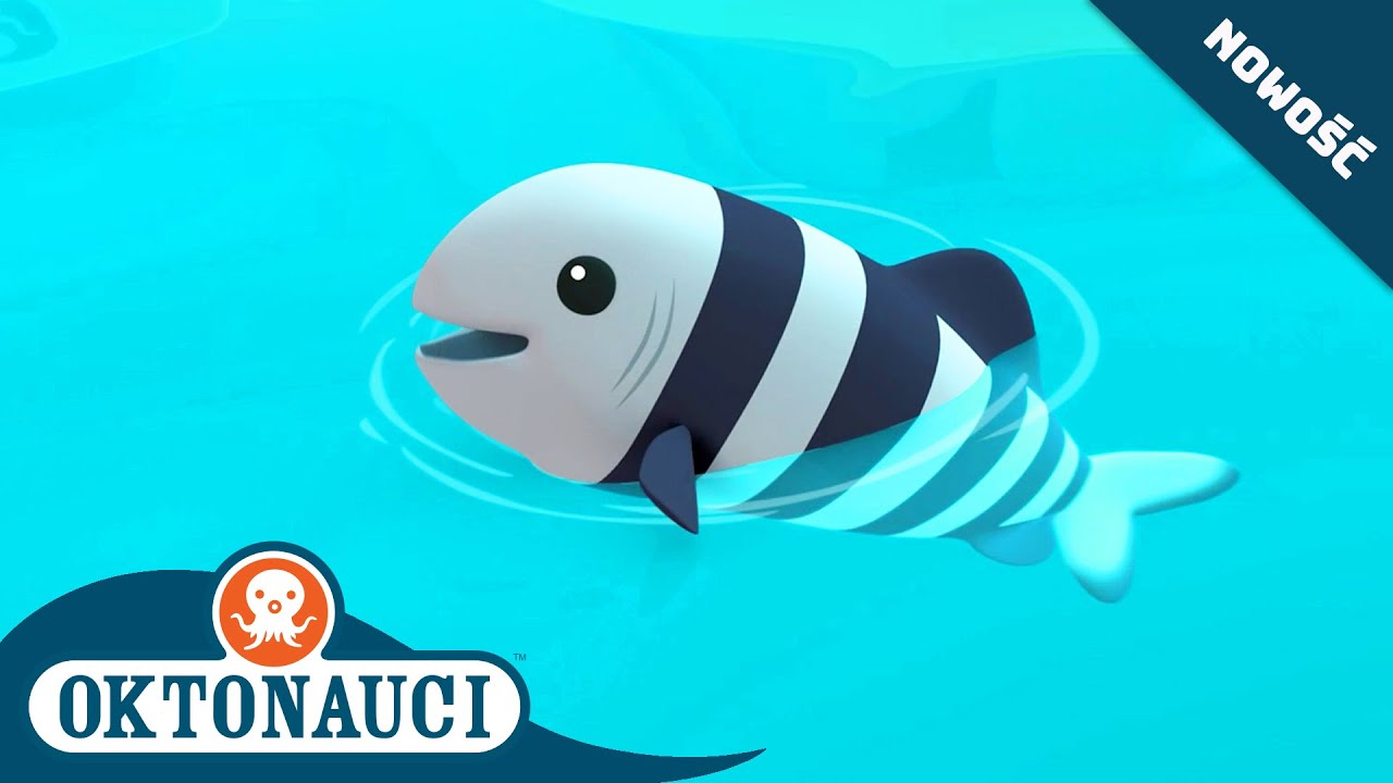 Oktonauci - 🐟 i głodna ryba pilot 🦈 | Cały odcinek 21 | Seria 1