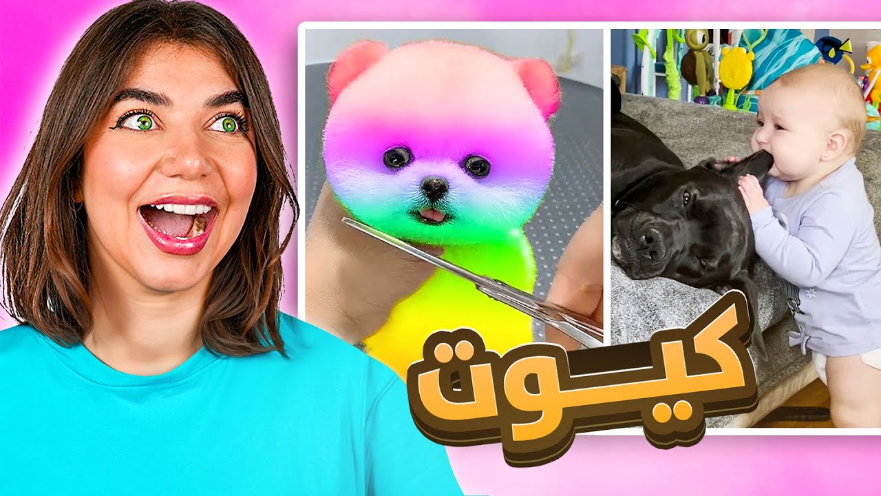 أذا بتحكي كيوت بتخسر 🎀