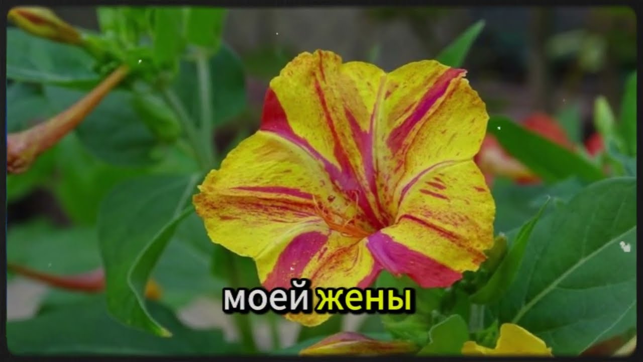 Когда все ушли, мы с тётей остались одни…