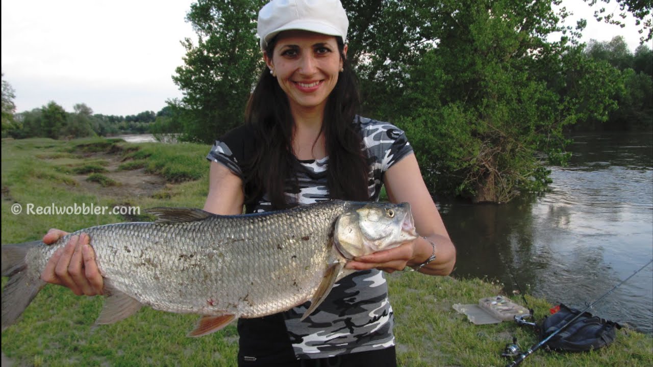 Girl Fishing Big Asp with Crankbait/ Rapfen Angeln mit Wobbler/ Pesca de Aspio con Se&ntilde;uelo