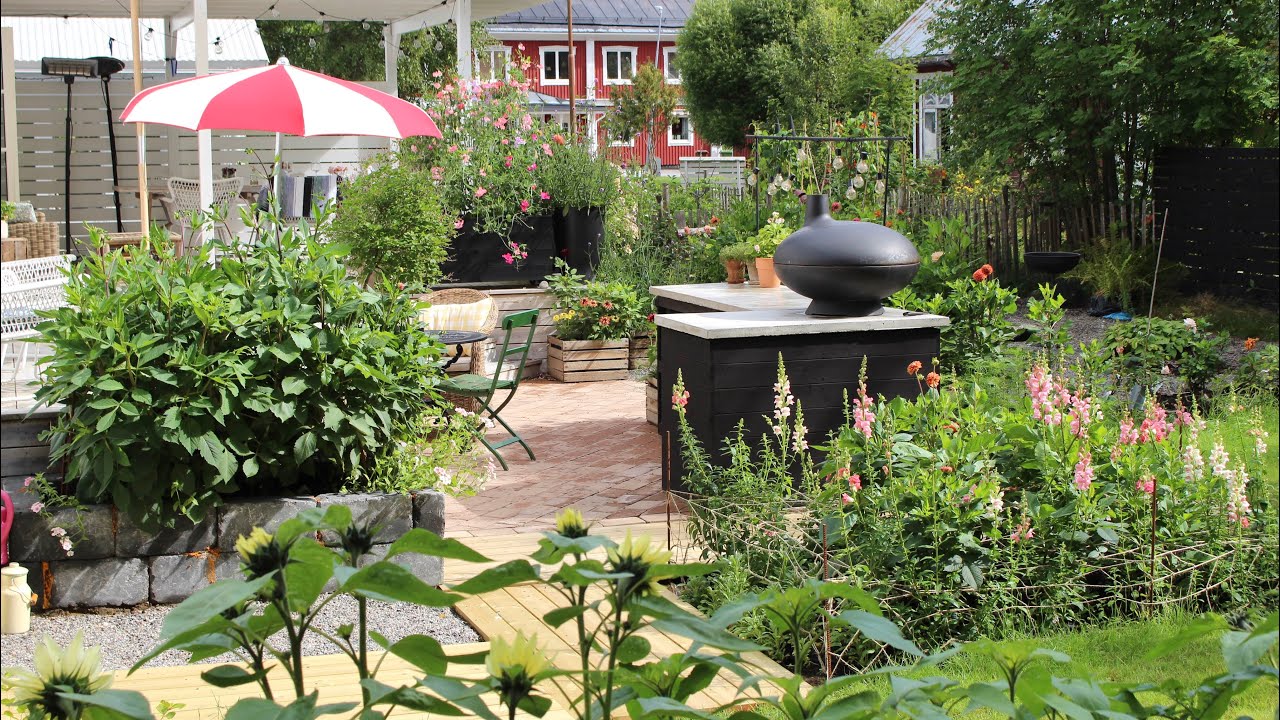 Tips vid utplantering av Jätteverbena