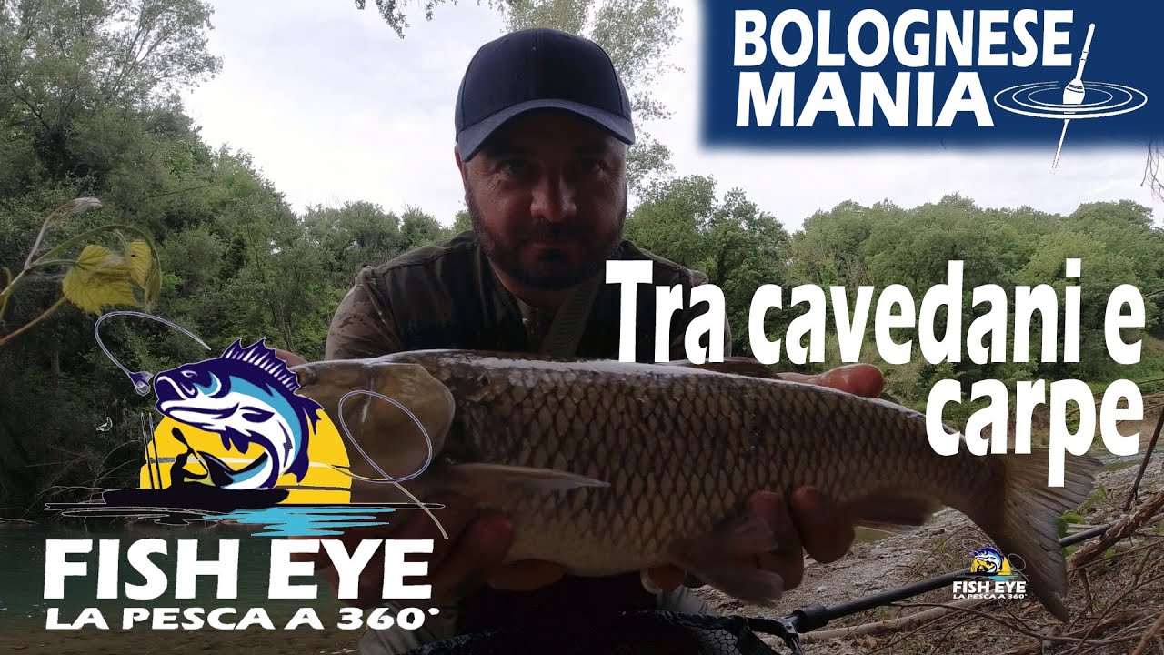 Bolognese in fiume - Tra cavedani e carpe