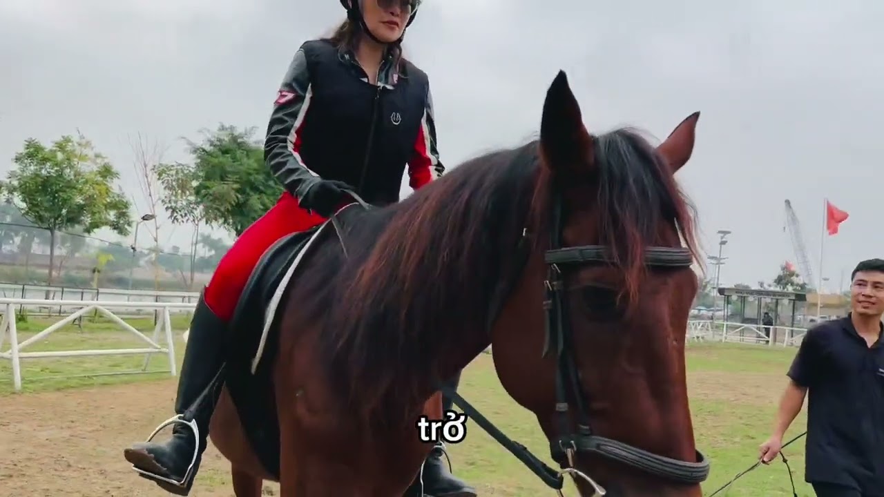 How to learn horse back riding #sexyjenny #horseriding 