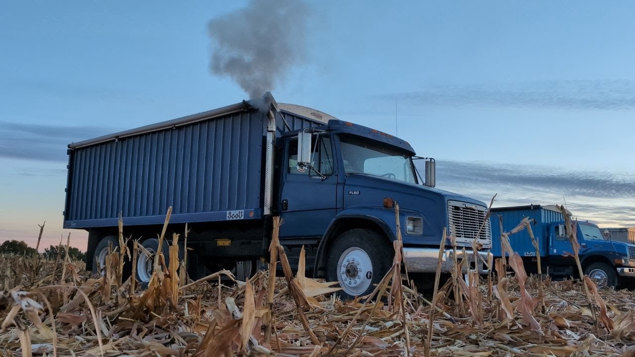 Some DT466E and 8.3L Cummins Cold Starts and Sounds