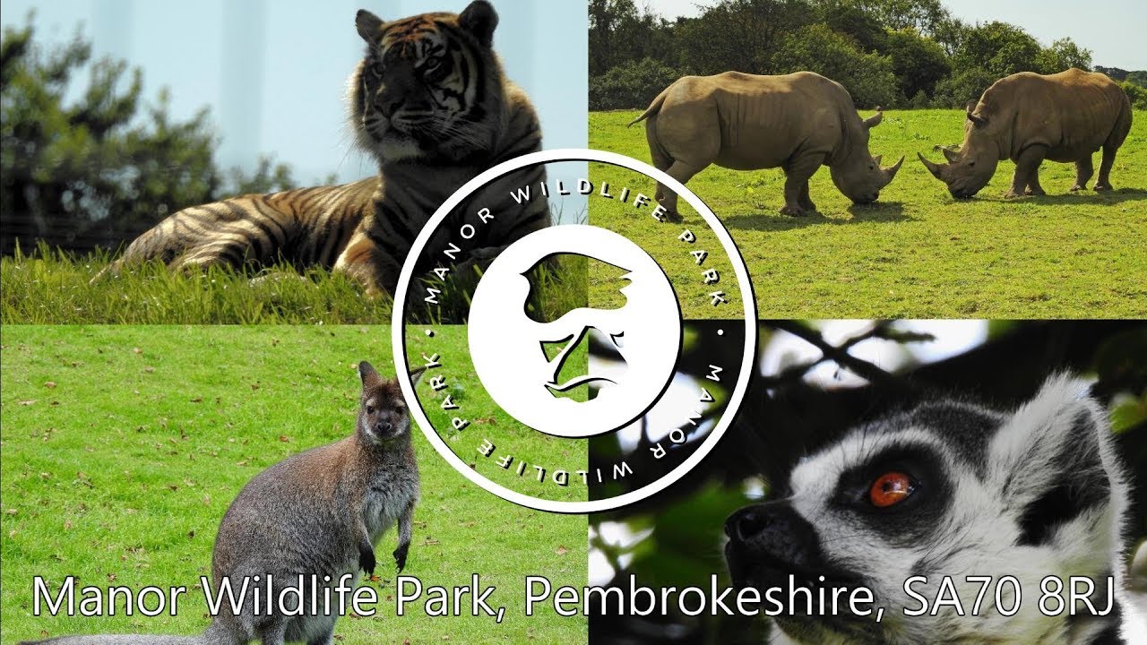 Manor Wildlife Park - Tenby, South Wales