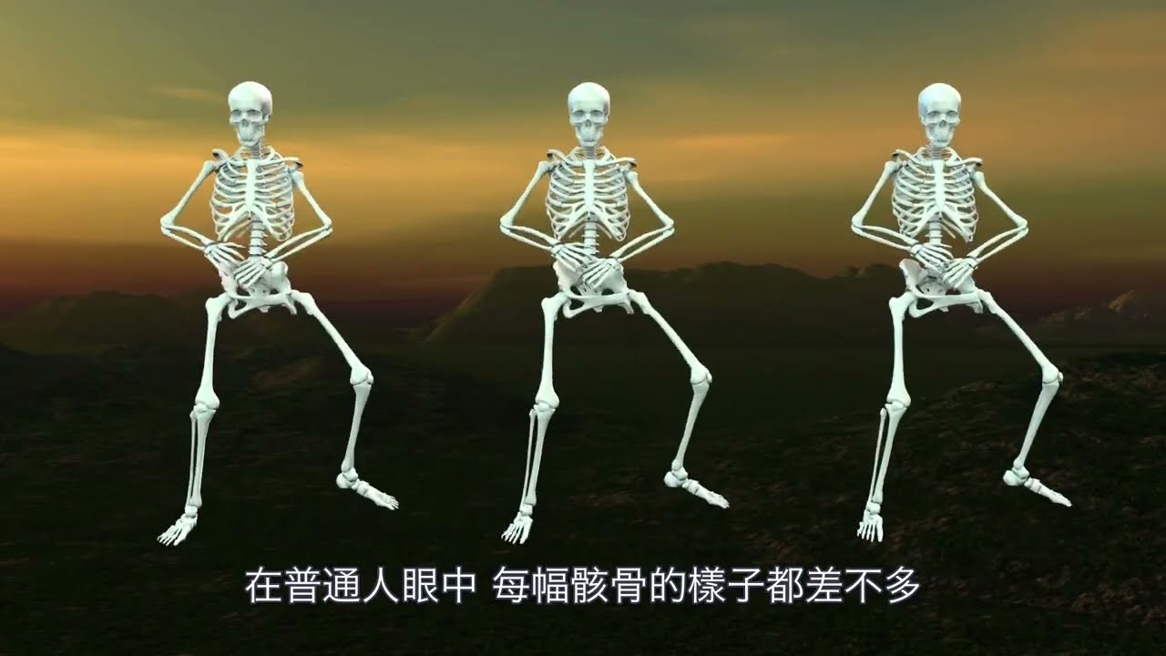【生物週x圖書館】法醫人類學家&ne;法醫？《屍骨的餘音》作者李衍蒨親自到瑪中進行講座！｜瑪中圖書館