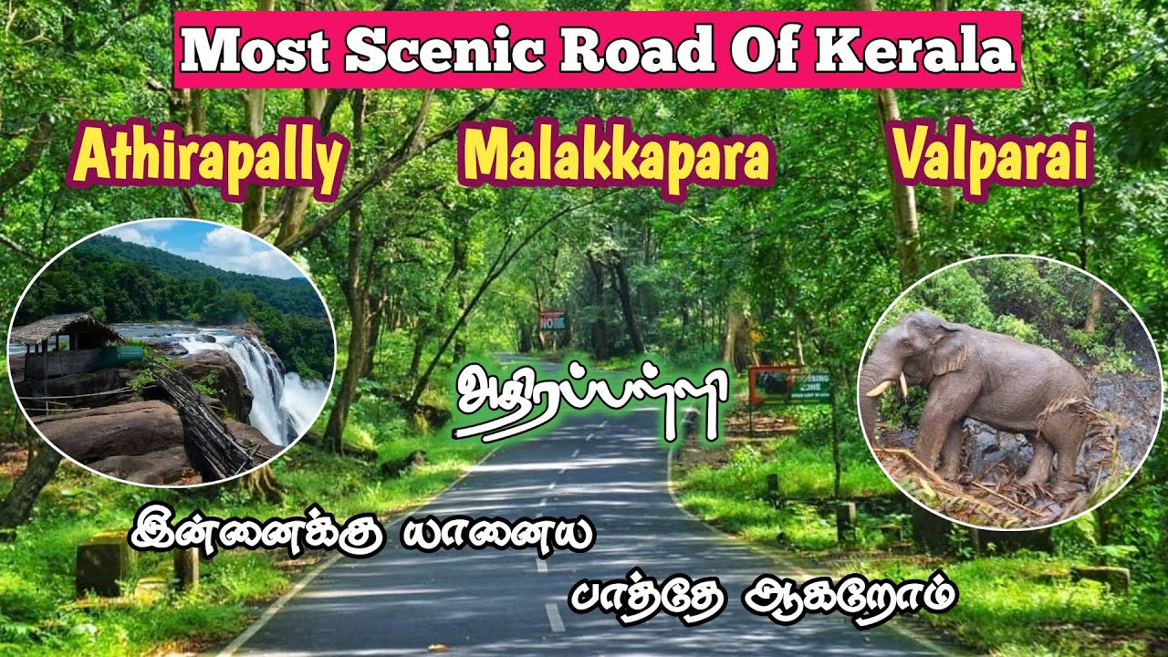 ATHIRAPALLY - VALPARAI 🐘Most Thrilling Road Trip ⚠️❕Elephants Spotted ❕Athirapally Waterfalls❕2026❕