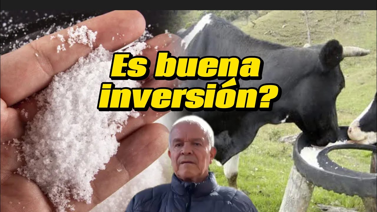 Sales Mineralizadas para Bovinos: La Clave para una Ganadería Productiva