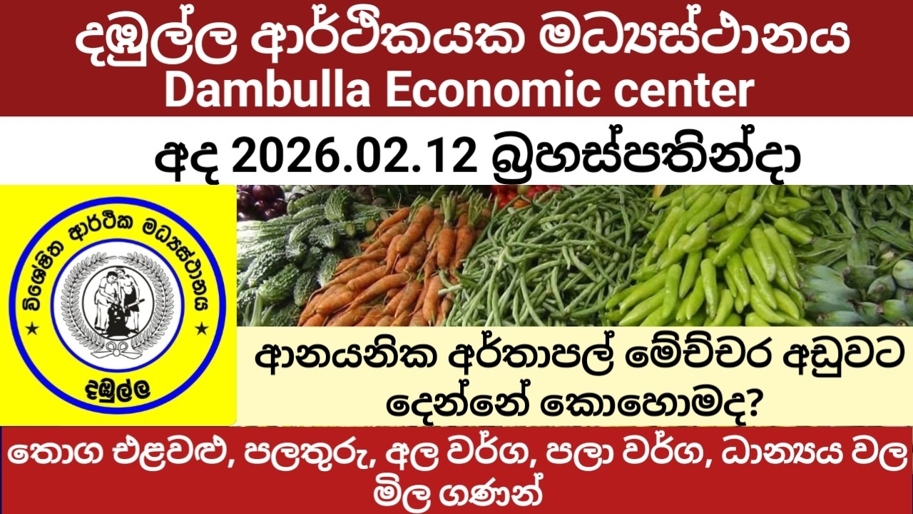 අද  අලුත්ම දඹුල්ලේ එළවළු මිල / 2026.02.12 බ්‍රහස්පතින්දා / Dambulla Market vegetables fruits price